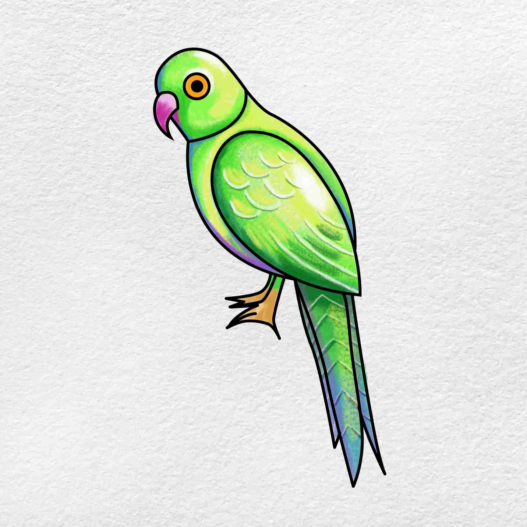 How to Draw a Parrot