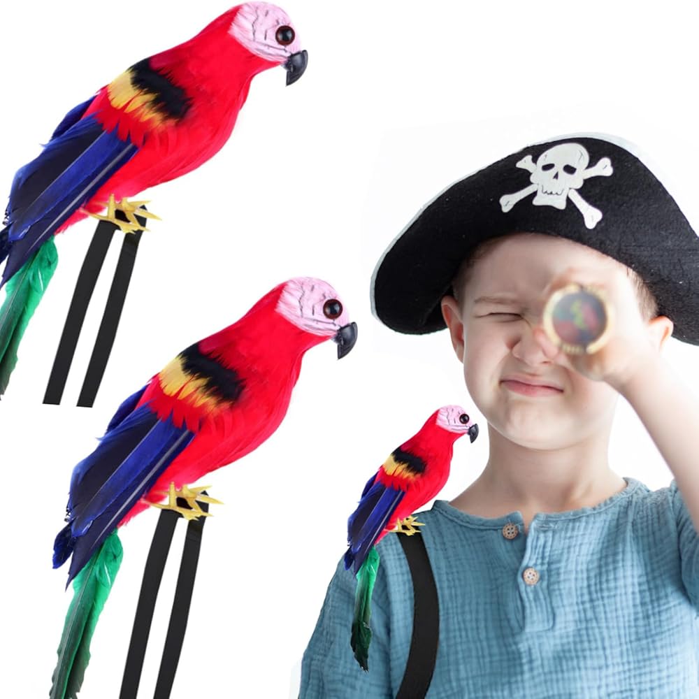 Talking Pirate Parrot