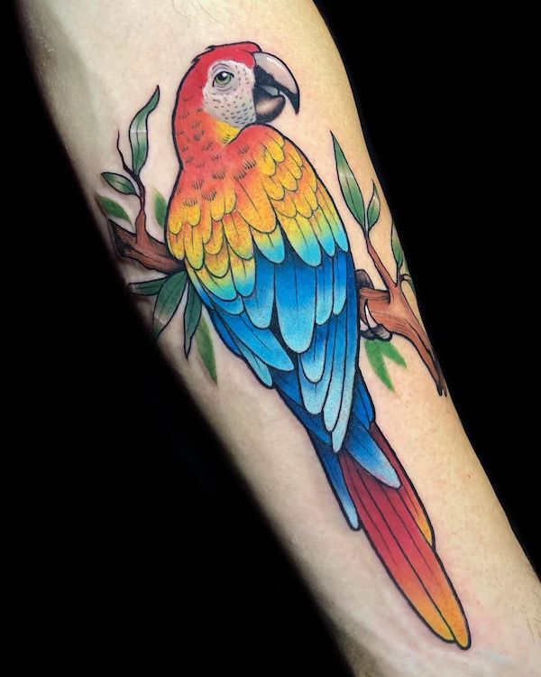 Colorful Parrot Tattoo