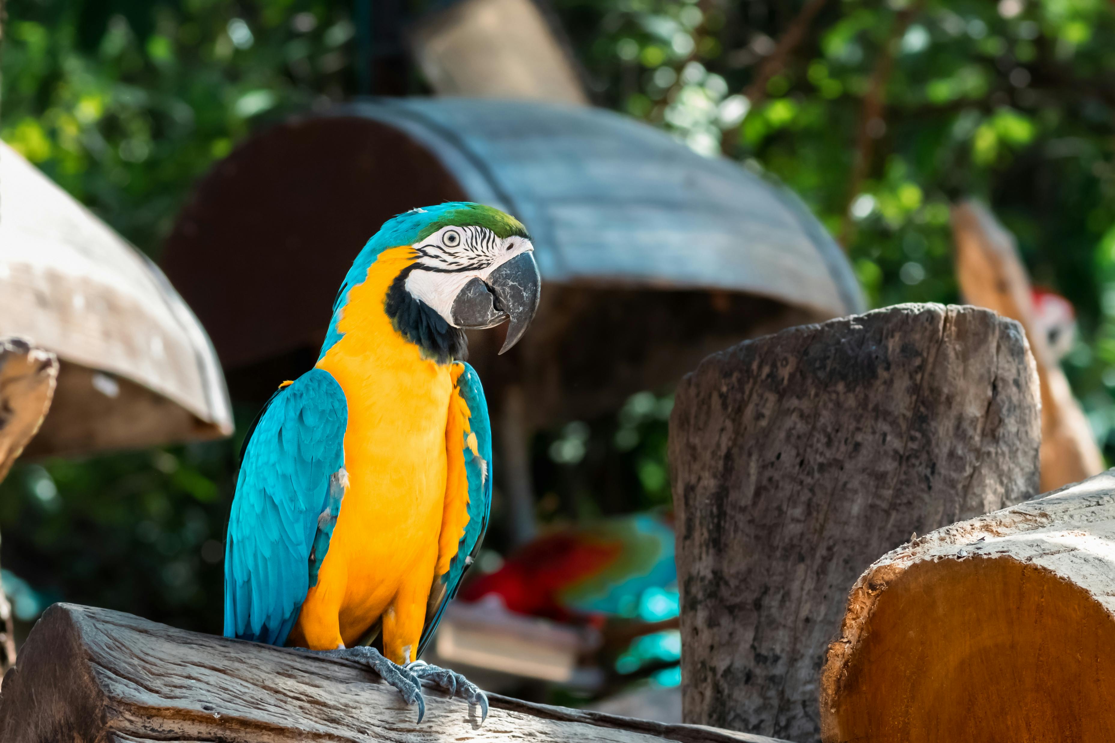 Parrot Anafi USA During Aerial Shoot